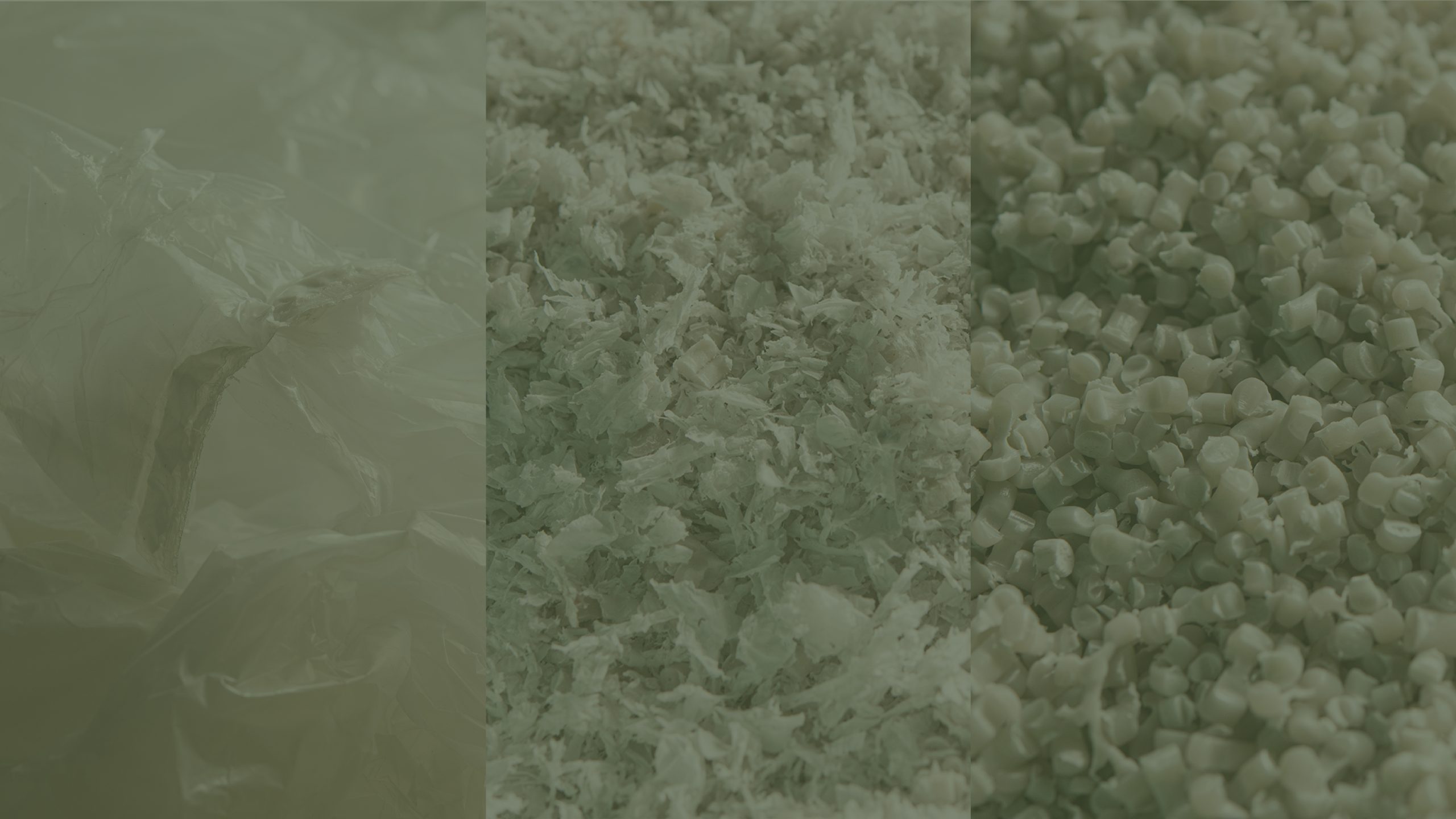 Sustainable Packaging Solutions